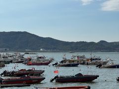 -东山珍珠岛