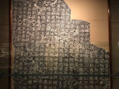 -烟台市博物馆