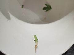 -董家湾重庆老火锅(嘉华店)