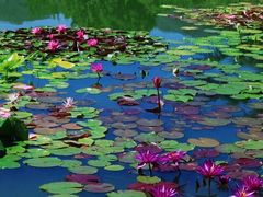 -国家植物园南园