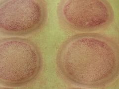 -紫瑞中医馆·养生推拿·中式筋膜(龙华店)