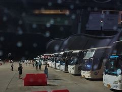 -东芭乐园
