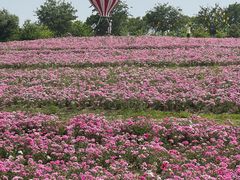 -歌斐颂巧克力小镇