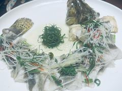 -觅唐MITONG(鸟巢店)