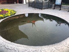 -宛园