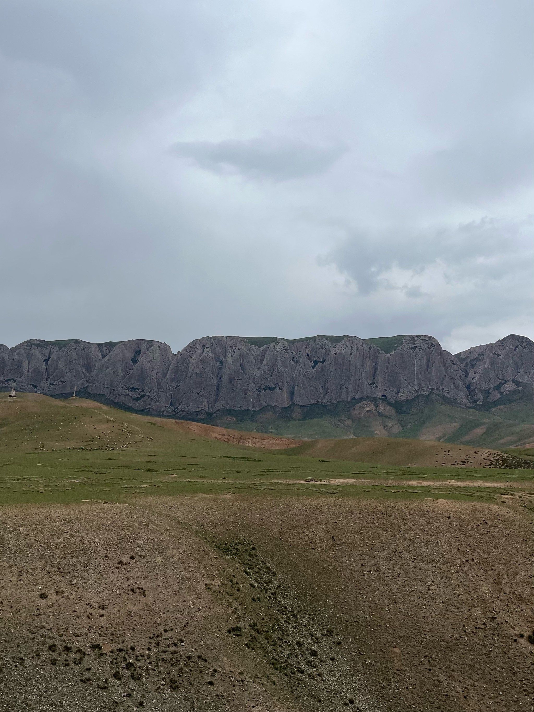 一个小时上到了海拔三千米的甘加草原,眼前豁然开朗,蓝天白云加绿草