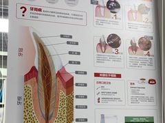 -达爱动物医院·犬猫分区·CT·复杂眼科(远洋山水分院)