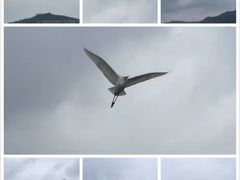 -长兴太湖图影湿地文化园