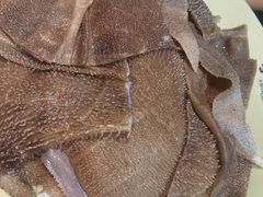 极品毛肚-晓宇重庆火锅(赛格国际购物中心店)