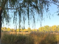 -永定河休闲森林公园