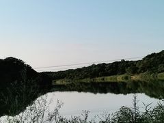 -大青沟风景区