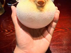 -永安鱼庄·镇江菜(东吴路店)