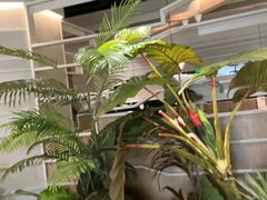 -湊湊火锅·茶憩(皇姑万象汇店)