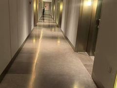 -同庆楼(天鹅酒家店)