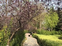 -郑州植物园