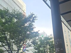 -秋叶原电器街