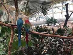 -杭州开元森泊度假乐园