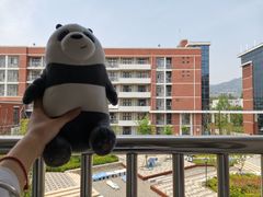 -山东外贸职业学院