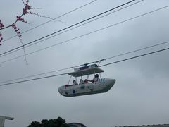 -百万葵园