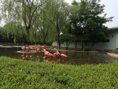 -石家庄市动物园