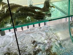 -凯华海鲜火锅·传承三十六年