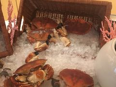 -北京王府井希尔顿酒店·万斯阁西餐厅