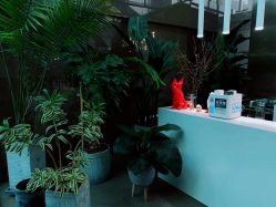 -BOF HAIR BY HONTO