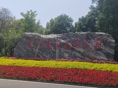 -东平国家森林公园