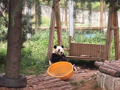 -西安秦岭野生动物园