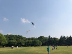 -青枫公园
