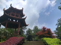 -铁山坪森林公园