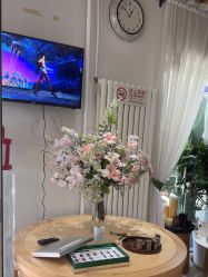 -薇薇安花系SPA