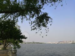 -无锡蠡湖国家湿地公园-蠡园