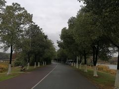 -艾溪湖湿地公园