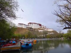 iphone_upload_pic-宗角禄康公园
