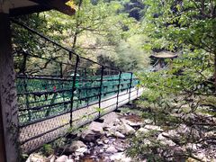 -溪口-滕头旅游景区