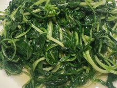 -华膳楼·安徽地标美食·中华餐饮名店(文化公园店)