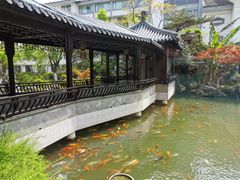 -苏苑饭店-中餐厅(长桥地区店)