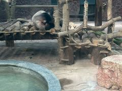 -黔灵山公园