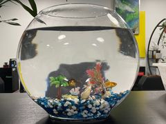 -曲阳花鸟市场(曲阳路店)