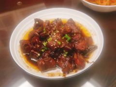 -鲸励母婴月嫂(望京店)