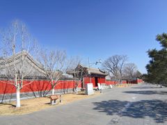 -西海子公园