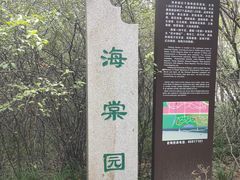 -洛阳市隋唐城遗址植物园