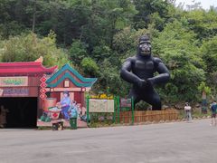 -栾川竹海野生动物园