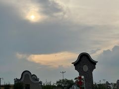 -王借岗森林公园