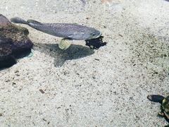 -鸿通城购物中心