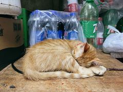 -老丘丘(较场口店)