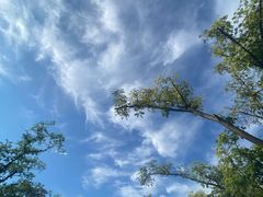 -朝阳公园游乐园