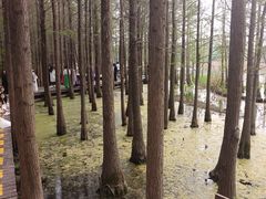 -云龙湖旅游景区