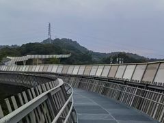 -福道